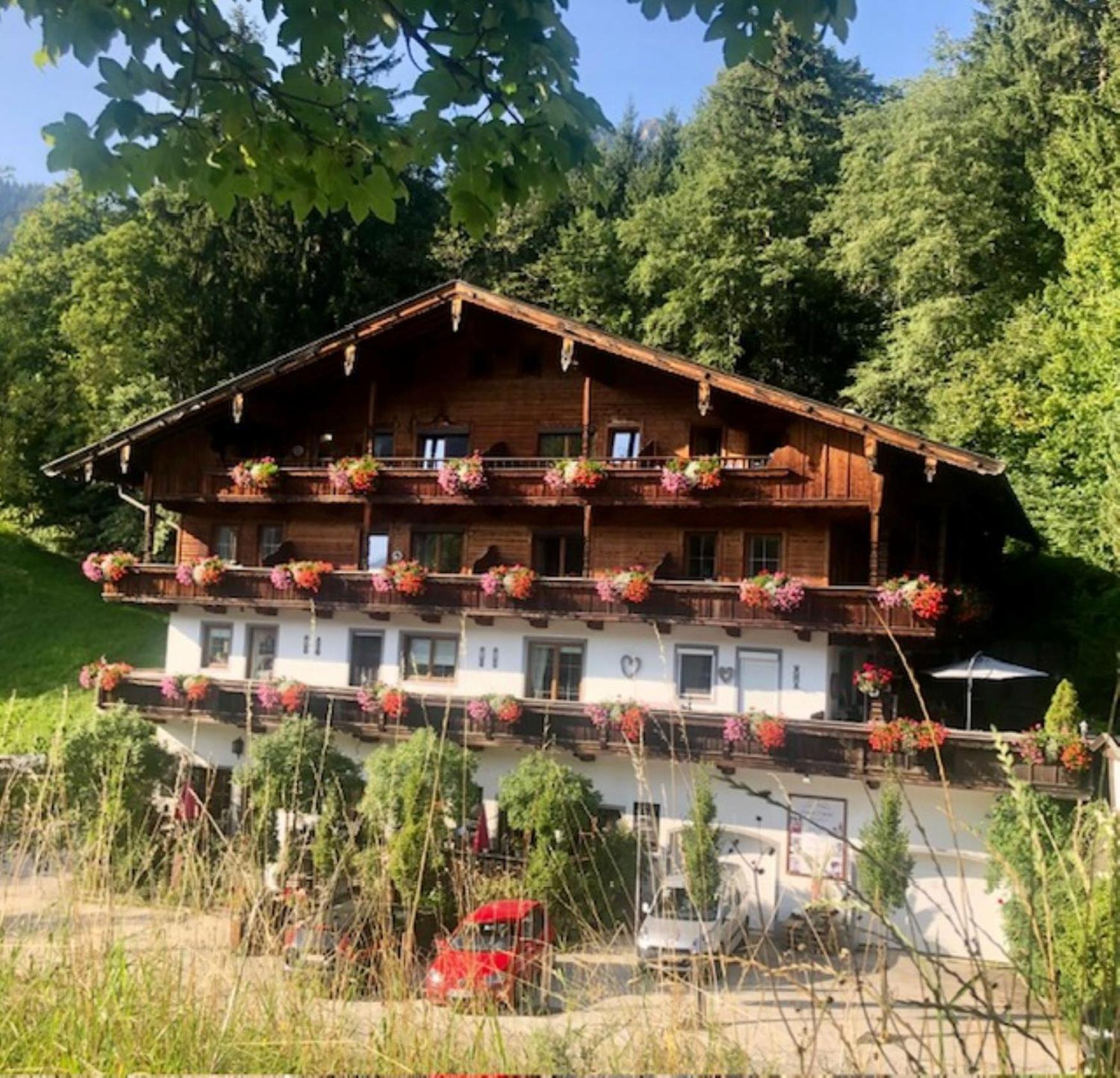 Appartements Im Weiherhof, アルプバッハ エクステリア 写真